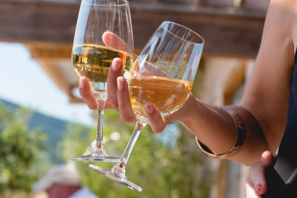 Visite du domaine et dégustation de nos vins - Bonjour Alsace