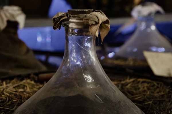 Visite et dégustation avec Kougelhopf - Bonjour Alsace