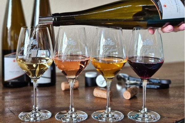 Visite guidée du domaine viticole en Alsace - Bonjour Alsace