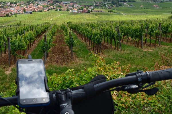 Bonjour Alsace | Visite audio-guidée du vignoble en VTT à assistance électrique.