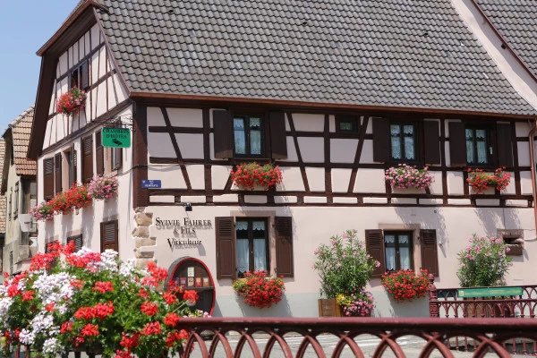 Bonjour Alsace | Visite + dégustation à l'aveugle