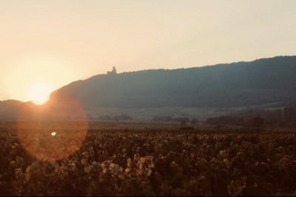 Bonjour Alsace | Visite du domaine et dégustation de nos vins