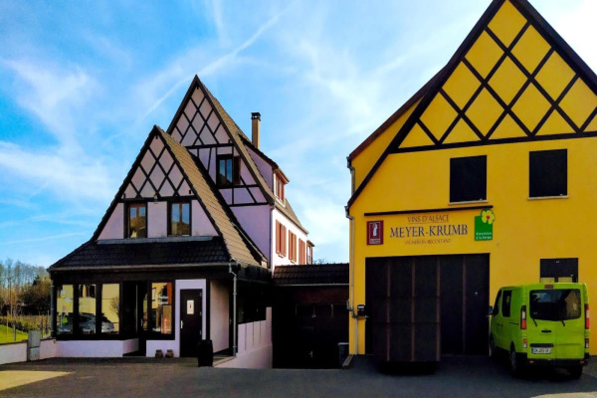 Soirée concert dégustation "Wine and Music" - Bonjour Alsace