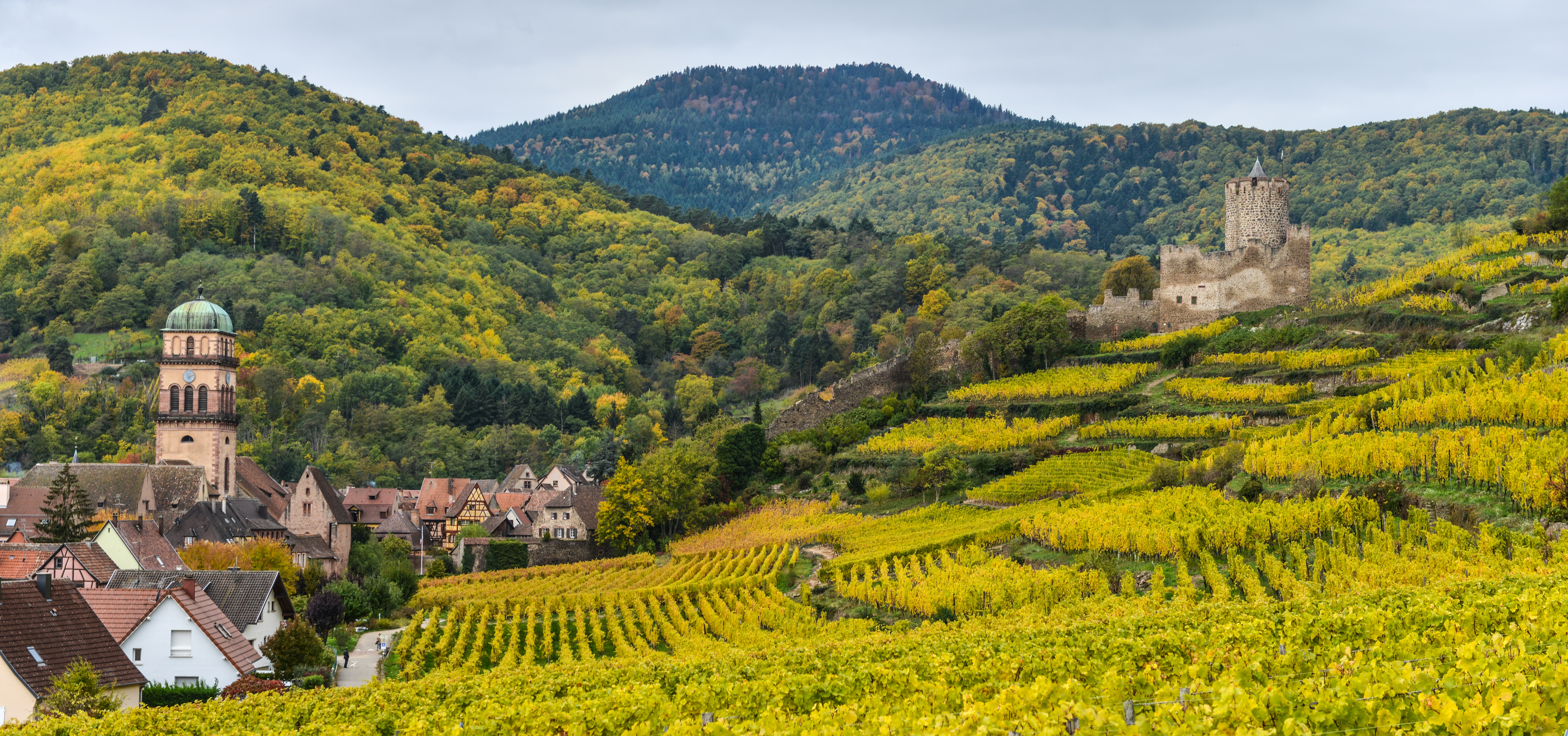Bonjour Alsace - réservez vos activités en ligne